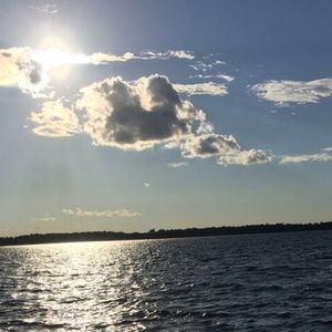 Meet your Posher, Sally